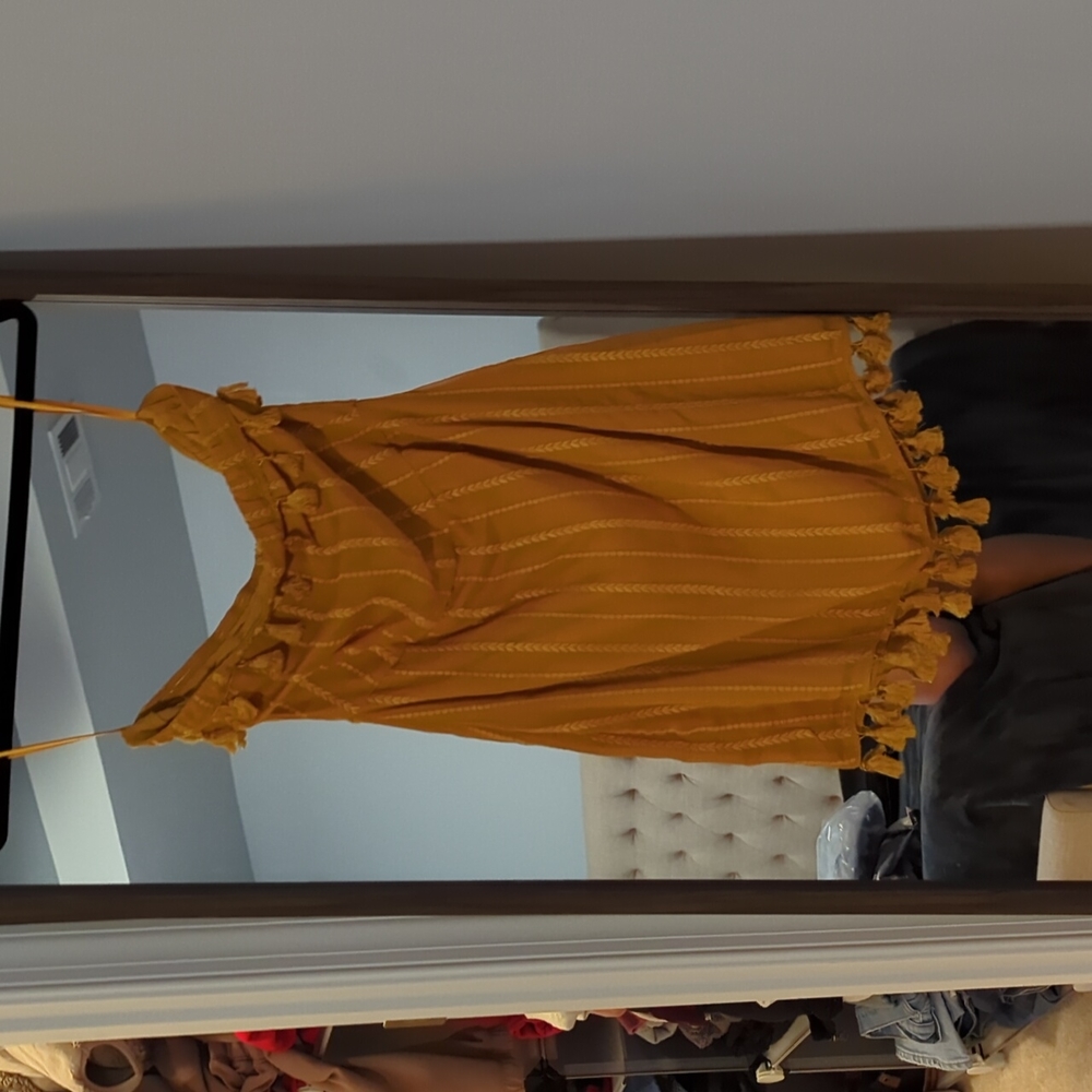 Wild Honey strapless tassel dress